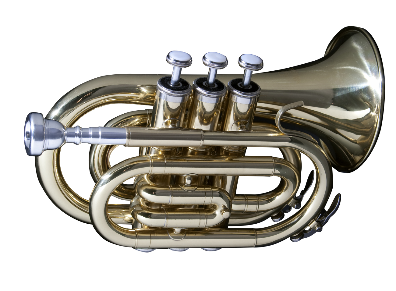 Monzani MZMT-500L Bb-Pocket Trumpet Brass, Lacquered | MUSIC STORE  professional