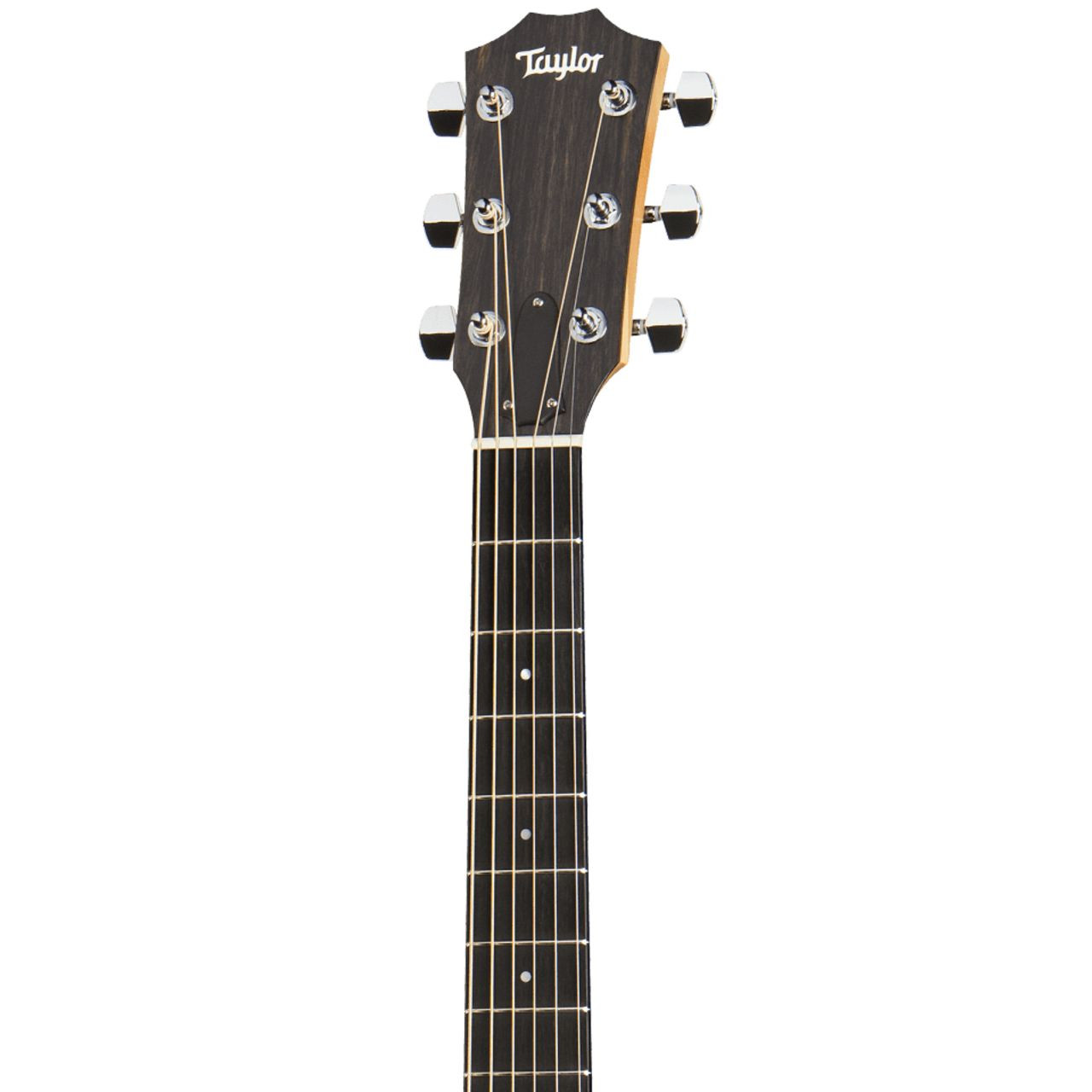 Taylor 114ce | MUSIC STORE professional