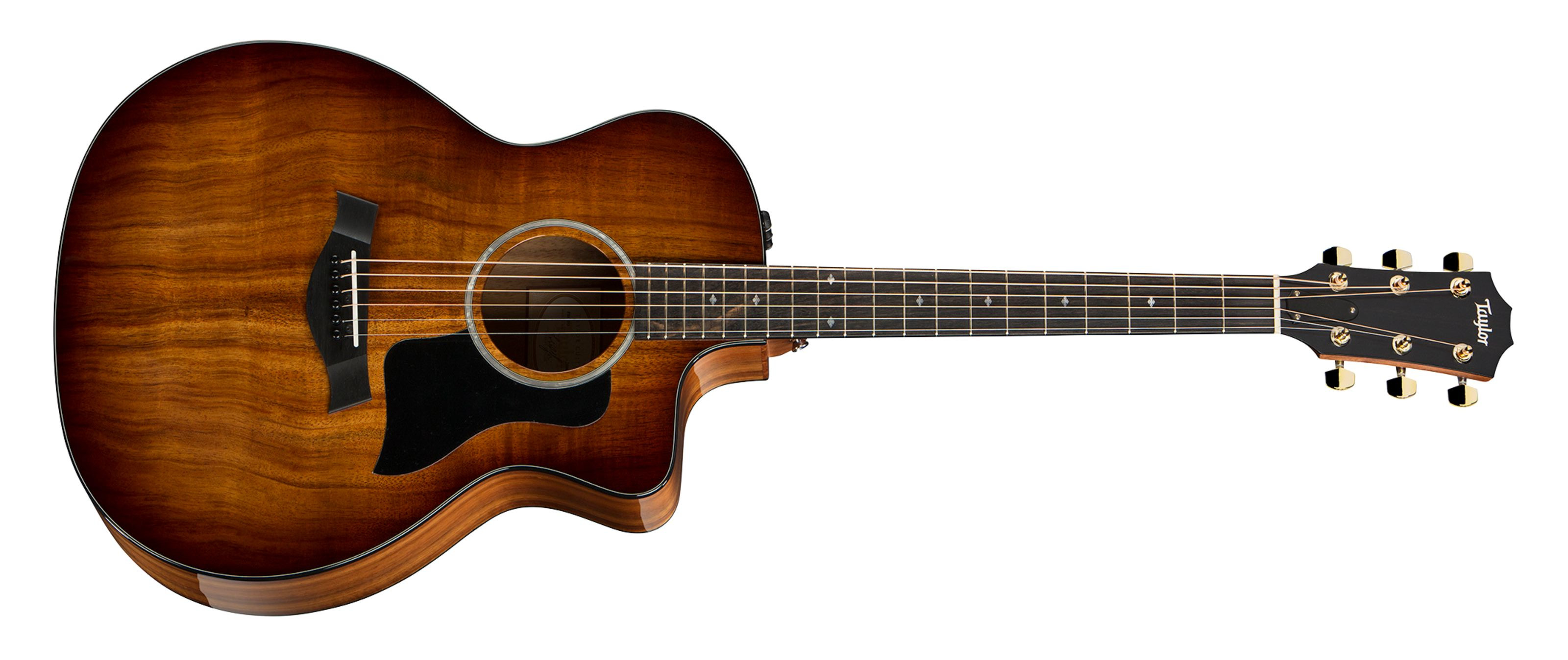 Taylor 224ce-K DLX | MUSIC STORE professional