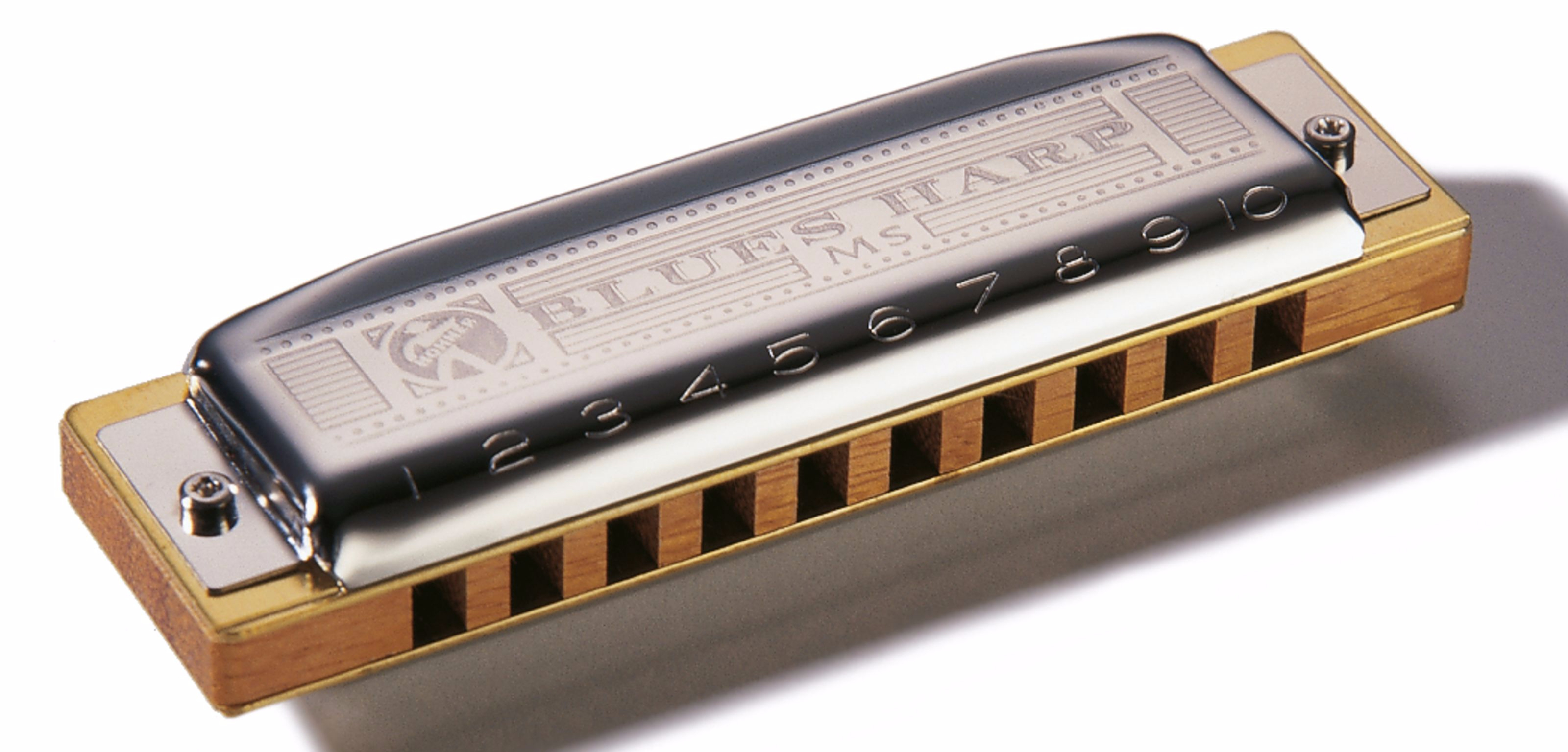 Hohner Harmonica blues A MS | MUSIC STORE professional