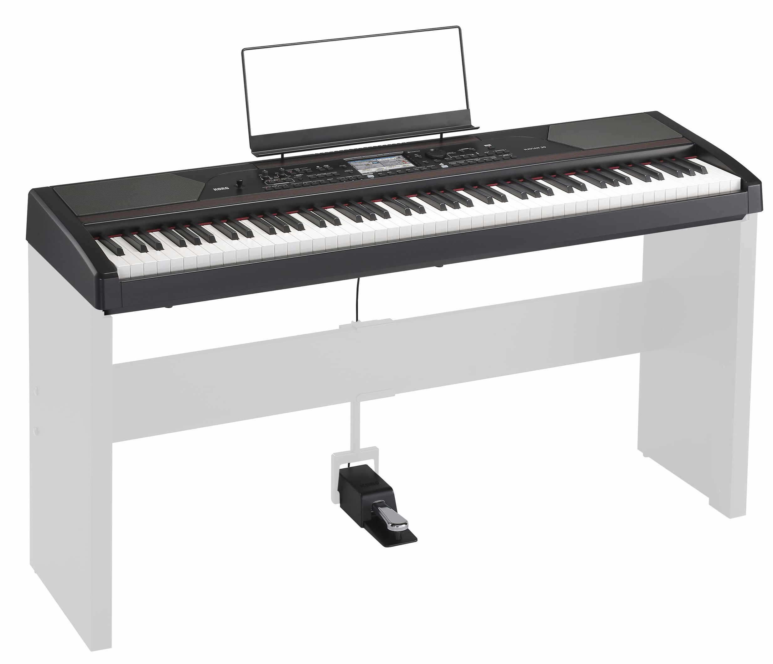 Korg Havian 30 Home-Piano con acompañamiento | MUSIC STORE professional